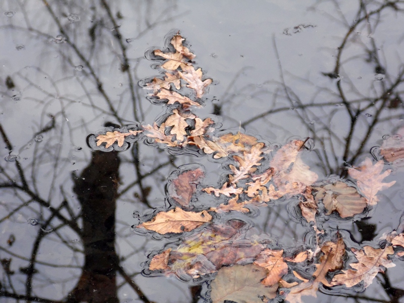 Un mondo riflesso...